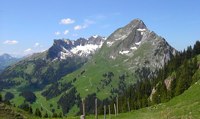 08-Freiburger Alpen