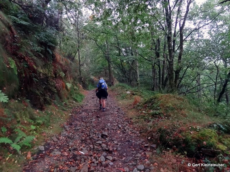 steiler Waldweg