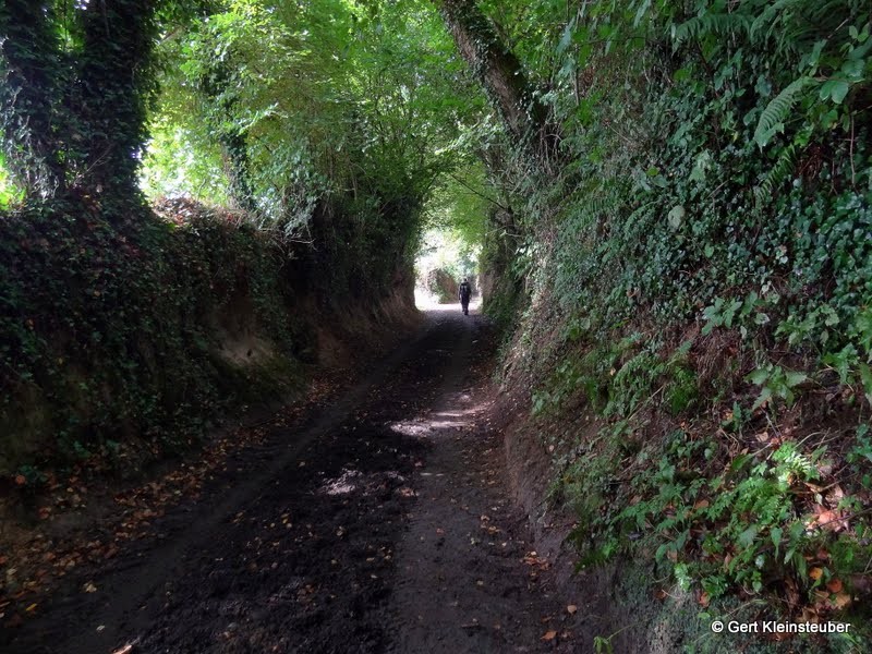 Hohlweg vor Tineo