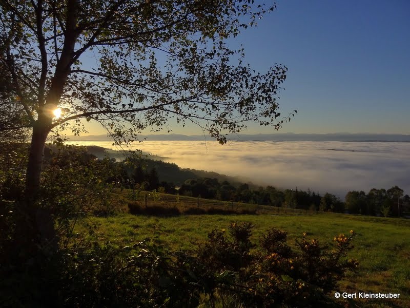 Raus aus dem Nebel