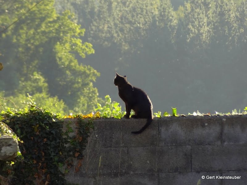 0950 Camino Primitivo Gert