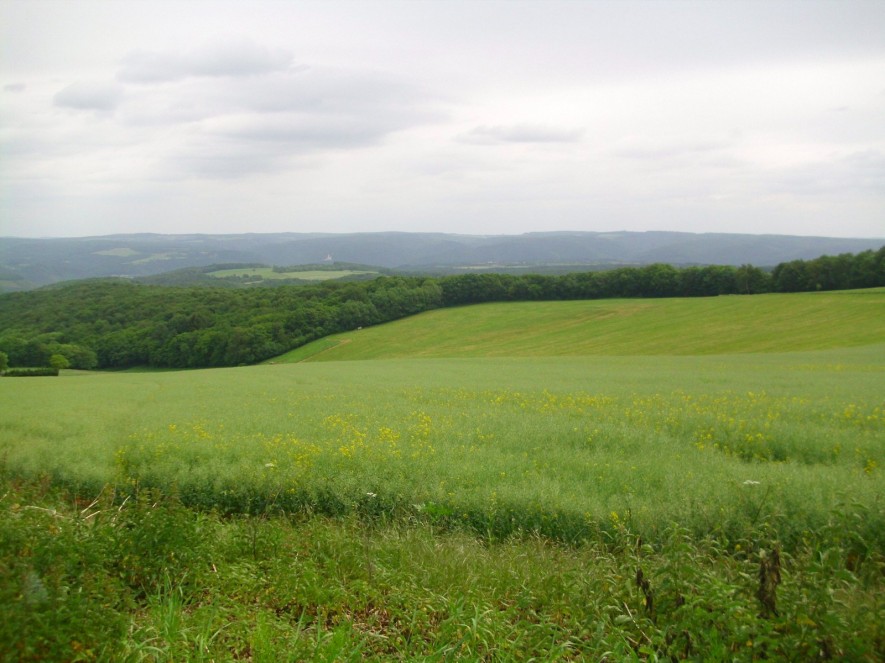 Langsam gehts von der Rheinseite auf die Hunsrückhöhenstraße