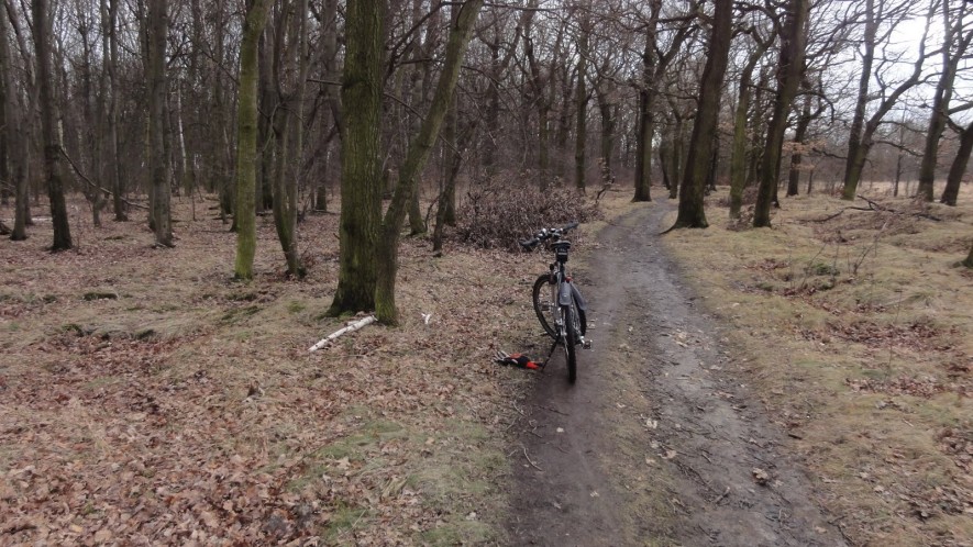 Schlammiger Weg vor Lindenthal