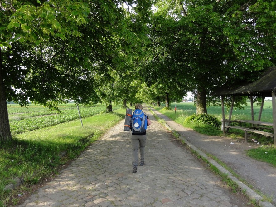 Lindenallee vor Brodau