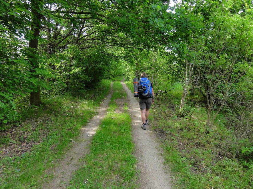 Schöner Weg hinter Löpitz