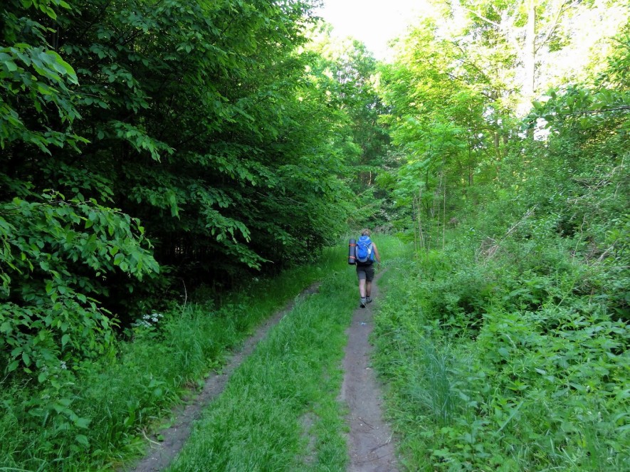 Feuchtgebiet hinter Merseburg