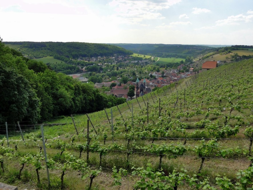 Blick auf Freyburg