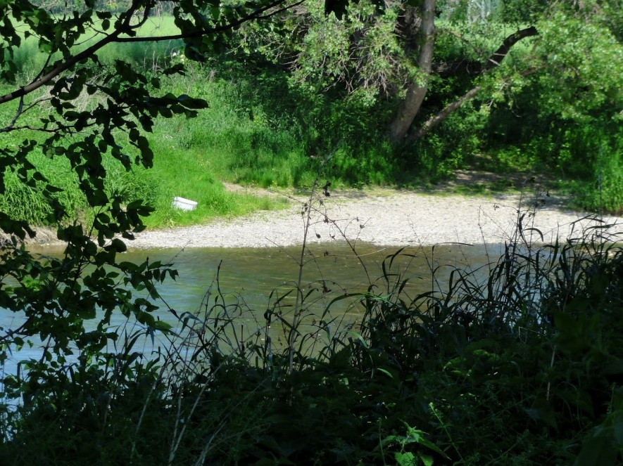 "An der Saale hellen Strande" (Volkslied) 