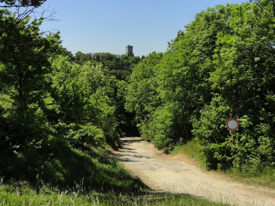 Weg nach Eckartsberga hinab, im Hintergrund die Eckartsburg