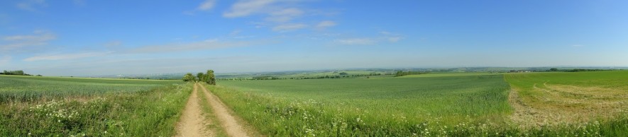 Schönwetterpanorama vor Erfurt