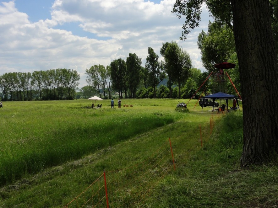 Windhundrennen in Tüttleben