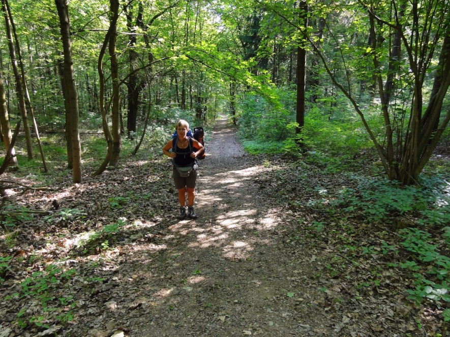 Aufstieg auf den großen Hörselberg