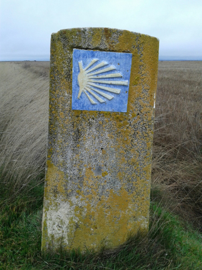 Camino Frances vom 19.01. 16.02.2014 Jakobsweg.de