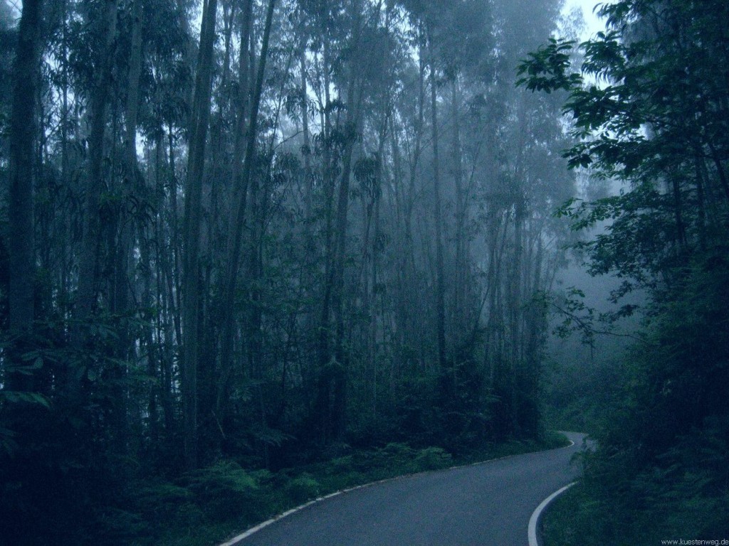 BURNOUT, Jakobsweg an der Küste, Küstenweg