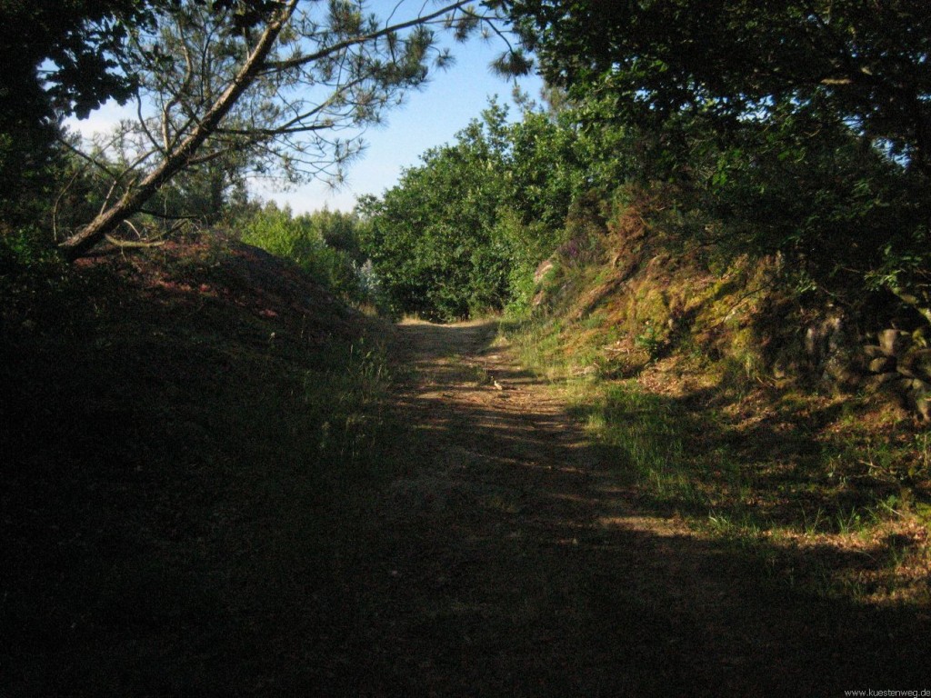 BURNOUT, Jakobsweg an der Küste, Küstenweg