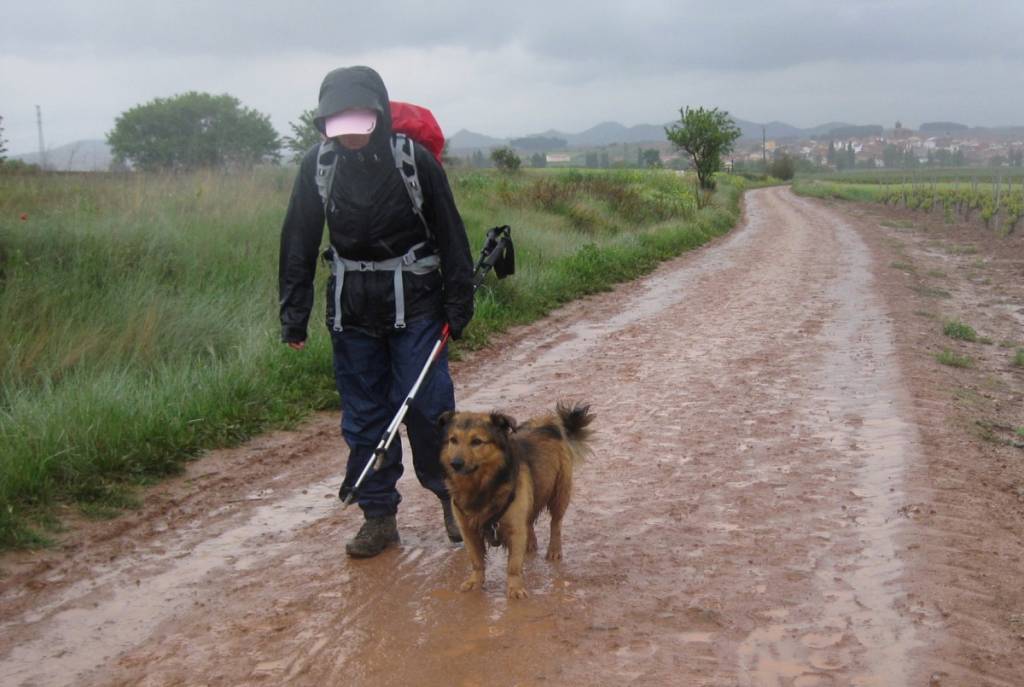 Jakobsweg mit Hund