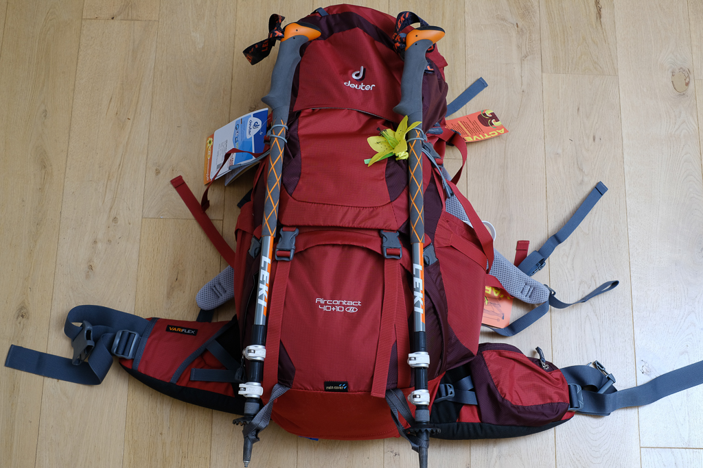 Der Deuter Aircontact 40+10 SL im großen Pilger-Rucksacktest - von hinten gesehen. 