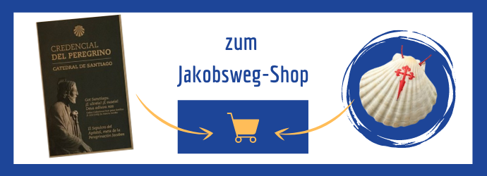 Jakobswegmuschel online kaufen