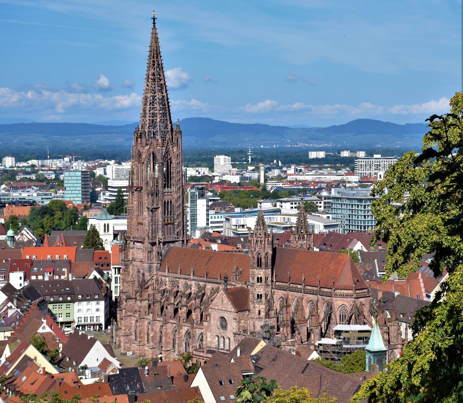 Freiburger Münster von C. M.